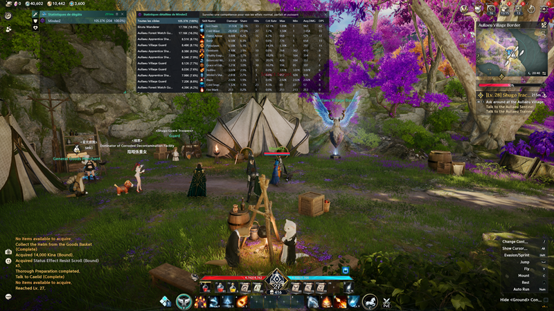 DPS Meter AION 2 affichant en temps réel les dégâts, dégâts des compétences, taux de réussite, taux de critique et DPS moyen